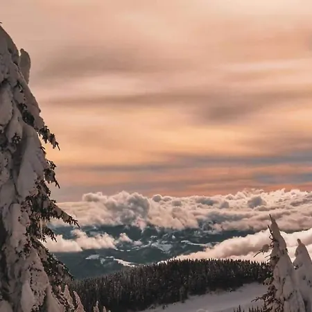 Zivkovic, Milmari D * Kopaonik