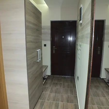 Apartment Zivkovic, Milmari D Kopaonik