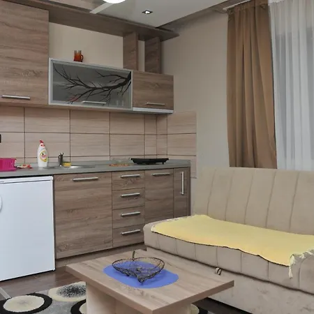 Zivkovic, Milmari D Apartment Kopaonik